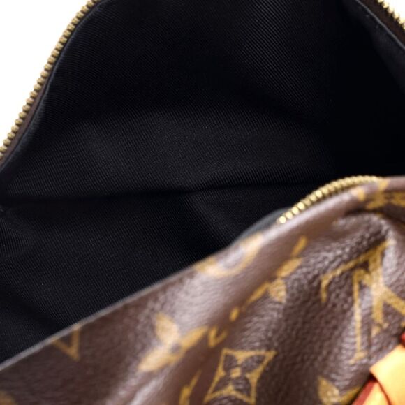 Louis Vuitton Bum Bag Monogram Canvas Brown - Picture 5 of 8